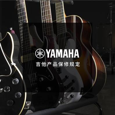吉他、贝斯和音箱