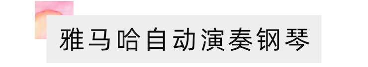 活动报道 | 远程艺术教育大师课活动—BG大游教育家崔岚大师课