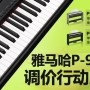 BG大游P-95数码钢琴，调价行动即日展开 